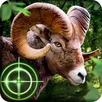 Wild Hunter 3D