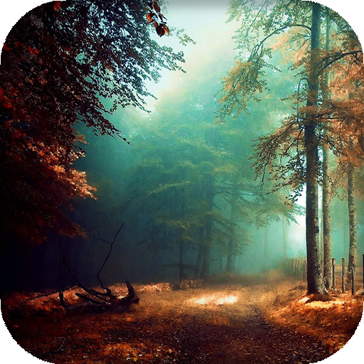 Mystic Night Live Wallpaper : 7fon &amp; LWP icon