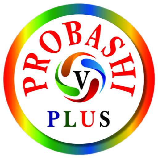 PROBASHI PLUS VPN icon