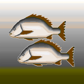 Snapper Fishing icon