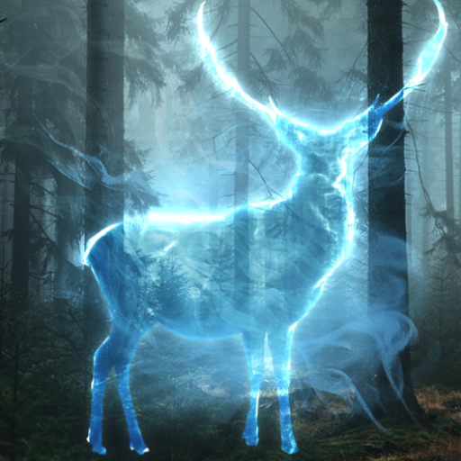 Adventure of the young wizard Quest icon