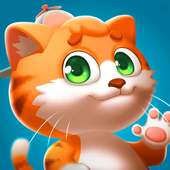 cat-pet store animal care