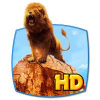 Wild Lion Live Wallpaper on 9Apps