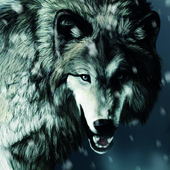 HD Wolf Wallpapers icon