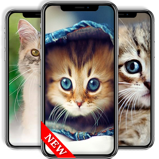 Cute Cat Background - Wallpaper icon