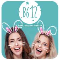 B612 Pro Tips and Tricks