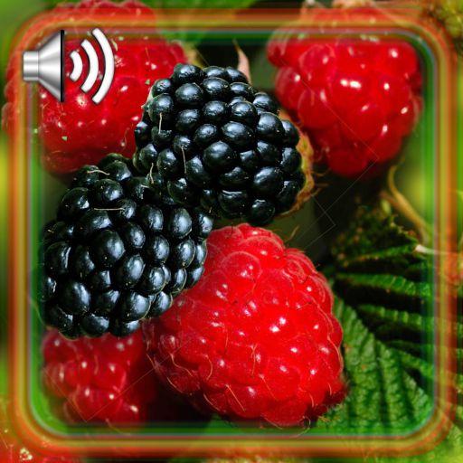 Berries Summer Forest Live Wallpaper icon