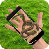Snake in Hand : Snake on Screen Funny