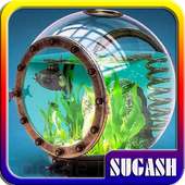 Aquarium Decoration Idea on 9Apps