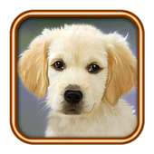 Talk To Your Dog icon