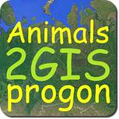 Учет животных прогоном