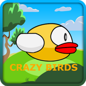 Crazy Bird icon