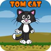 Tom Cat