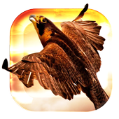 Heavenly Bird Fly Live Wallpap icon