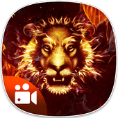 Live Fire Video Photo Background Editor icon