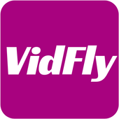 VidFly icon