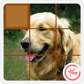 Puzzle Pet Dog icon