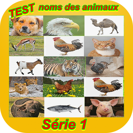 Examen 1 : noms des animaux icon
