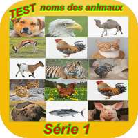 Examen 1 : noms des animaux on 9Apps
