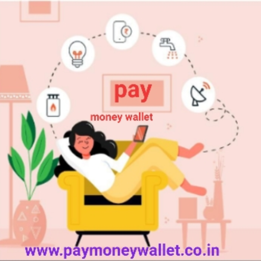 Pay Money Wallet- UPI add money  Best Recharge icon