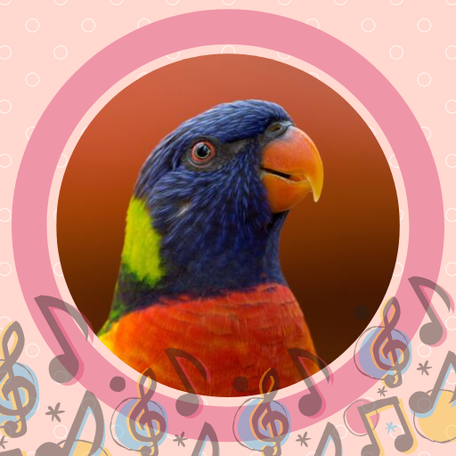 Ringtones Birdsong- Free Bird Sounds icon
