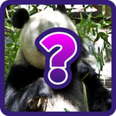 Guess The Animal - Photo Quiz icon