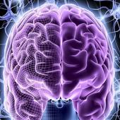 Best Brain Game Ever icon