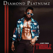 Diamond Platnumz icon