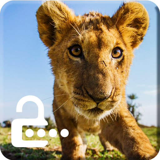 Africa Lion Wild Animal King Screen Lock icon