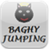 Baghy Jumping (cat jump) icon