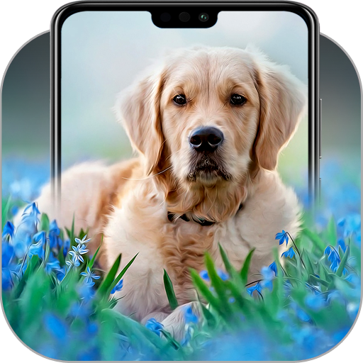 Golden Retriever Wallpaper icon