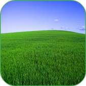 Green Fields 3D Wallpaper
