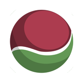 Gully Cricket Scorer icon