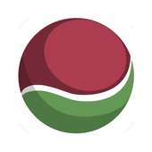 Gully Cricket Scorer