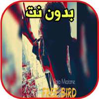 Raja Meziane - Free Bird - Freestyle