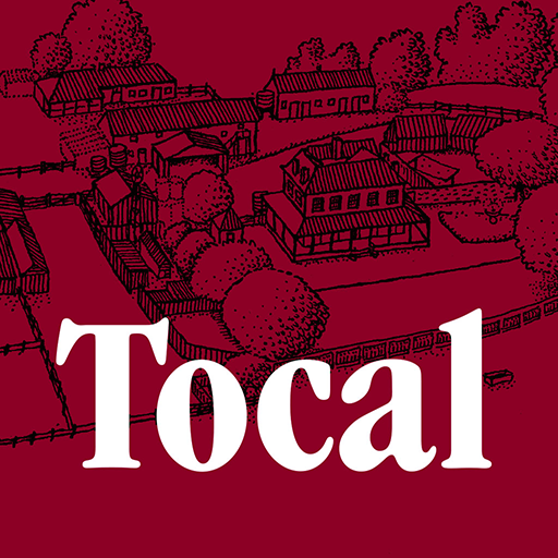 Tocal icon