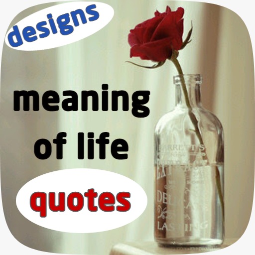 meaning of life quotes icon