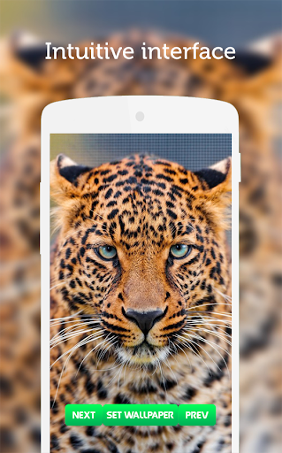 Leopard Wallpaper 2 تصوير الشاشة