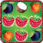 Fruit Splash Maina icon