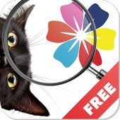 Find a cat - play with your friends! icon