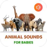 Free animal sounds for babies: name animal calls