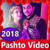 Pashto Song -Pashto Video, gana, song, naat 🎬