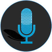 Easy Voice Recorder icon