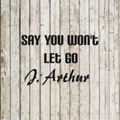 Say You Won't Let Go Song icon