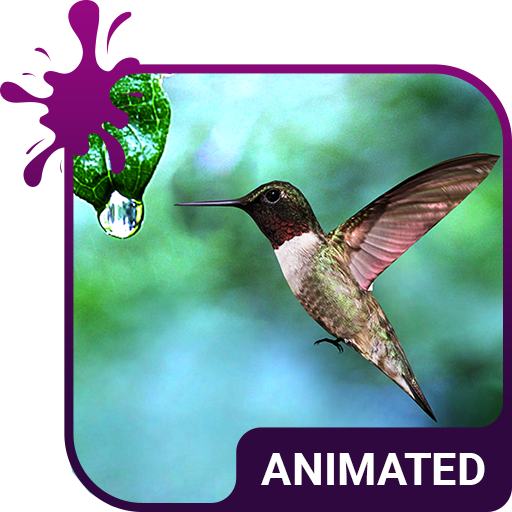 Colibri Live Wallpaper Theme icon