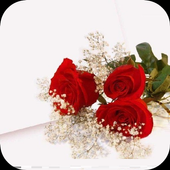 Best Romantic Love Quotes icon