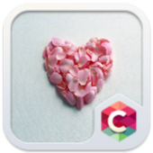 Pink Petals Heart Love Theme icon
