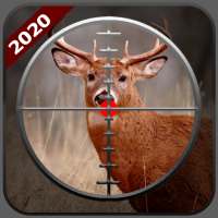 Wild Hunting 3d: Jungle Animal Hunting Games