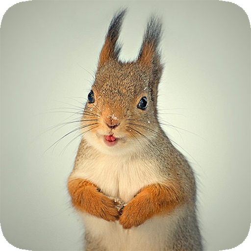 Animal lianliankan icon