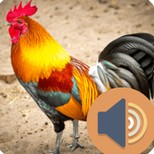 Sound Animals for Kids for Fun icon